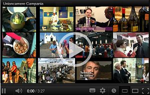 Guarda i video di Unioncamere Campania su YuoTube